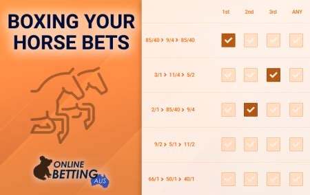 horse betting odds explained|Horse Betting Odds, Explained .